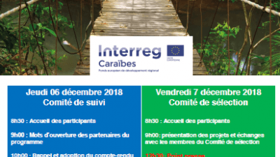 comites_interreg_caraibes_decembre_2018programme.png